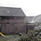 14.04.2020  Schneefimeln Osterdienstag im Fichtelgebirge