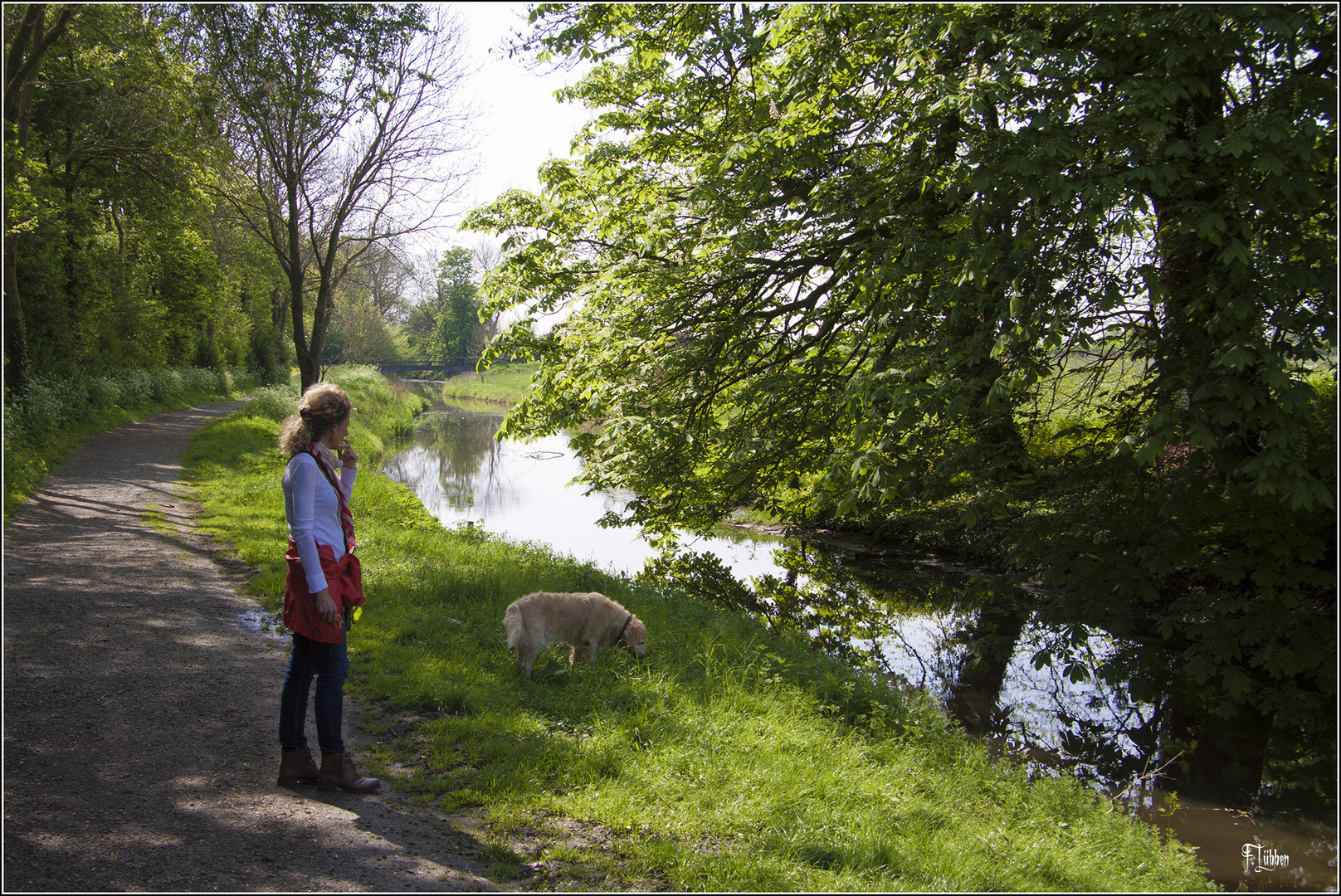 140429012 Dem Hund gefällt es auch