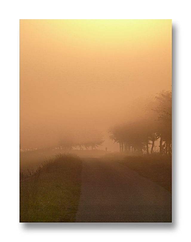 14,08.2010... 7:07:22 Oranjedijk