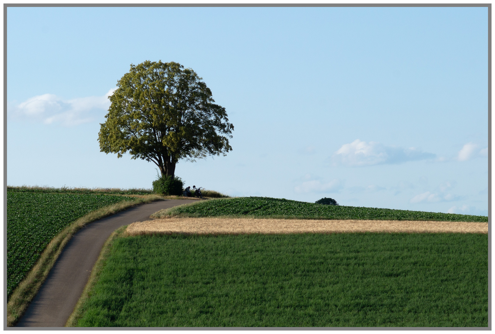 14.08.23 ## Blue Monday "Ruhe & Zeit - den Montag genießen" ##