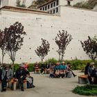 141 - Lhasa (Tibet) - Potala Palace