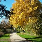 14.10.2019 Natürliche Straßenleuchte am Radweg 