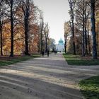 14.11.2019  Potsdam  Schlosspark Neues Palais  in Sicht