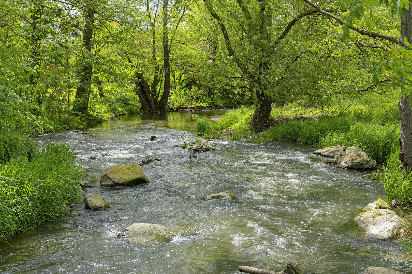 1426TZ der Fluss Exter bei Rinteln Exten