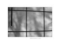 Window lines  de Dragomir Vukovic