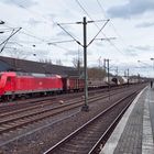 145 016 mit einem gemischten Güterzug in Eller