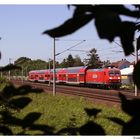 145 038 und ein bisschen "grün"