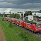 146 113-6 bei Auggen