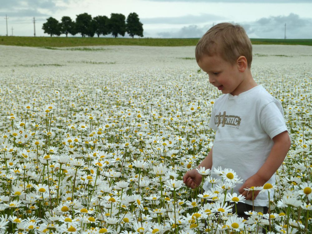 leuchtende Kinderaugen von nordlichtfan 