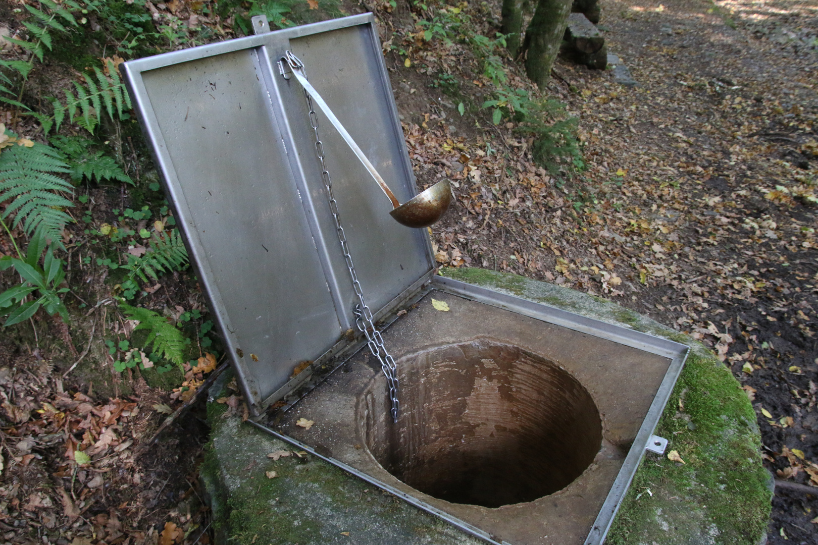 14729 lasst es Euch schmecken (Hasborner Sauerbrunnen)