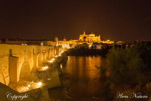 1482961858651 Puente Romano y Mezquita. Córdoba