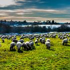 1493 Winter - Landschaft