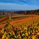 Blick ins Herbsten Tal