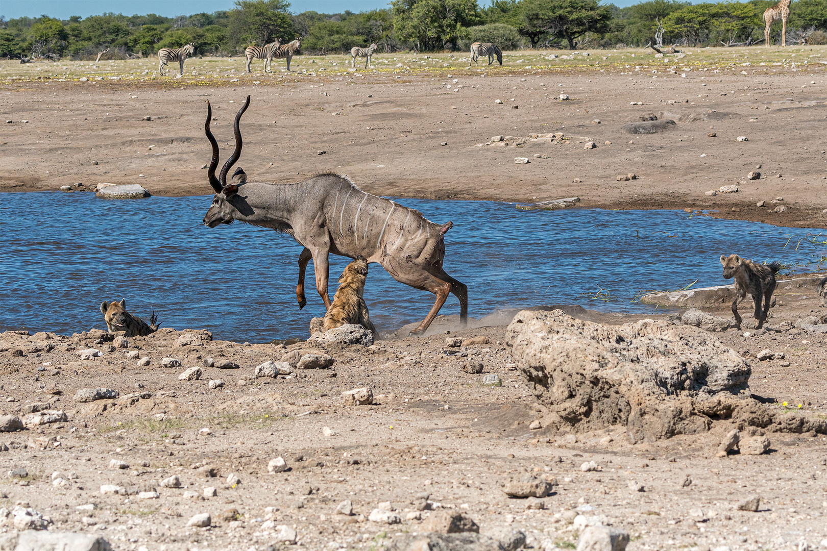 14_Erinnerung an Namibia April 2017