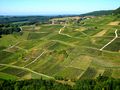 CHEMINS DES VIGNES DU JURA de BUBUL