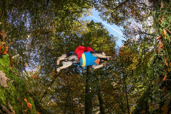 14mm Canon fisheye .....fun