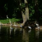 15 auf einen Streich ... bin ich tapferer als das Schneiderlein ?