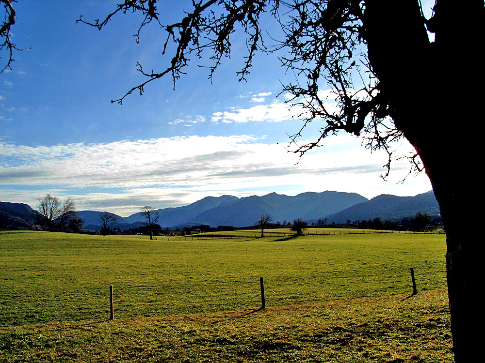 15 Grad am 20.01. 2007 in Oberbayern