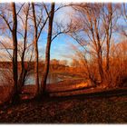 15. Januar am Förmitzsee