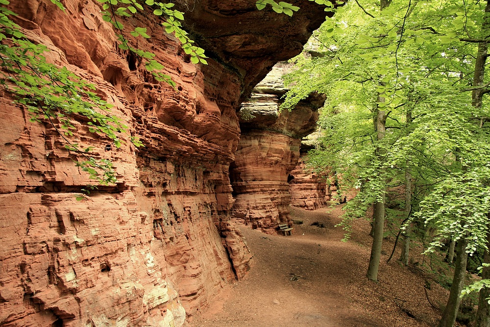 1,5 Kilometer lang und bis zu 30 Meter hoch ist die Felswand bei den Altschlossfelsen.