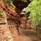 1,5 Kilometer lang und bis zu 30 Meter hoch ist die Felswand bei den Altschlossfelsen.