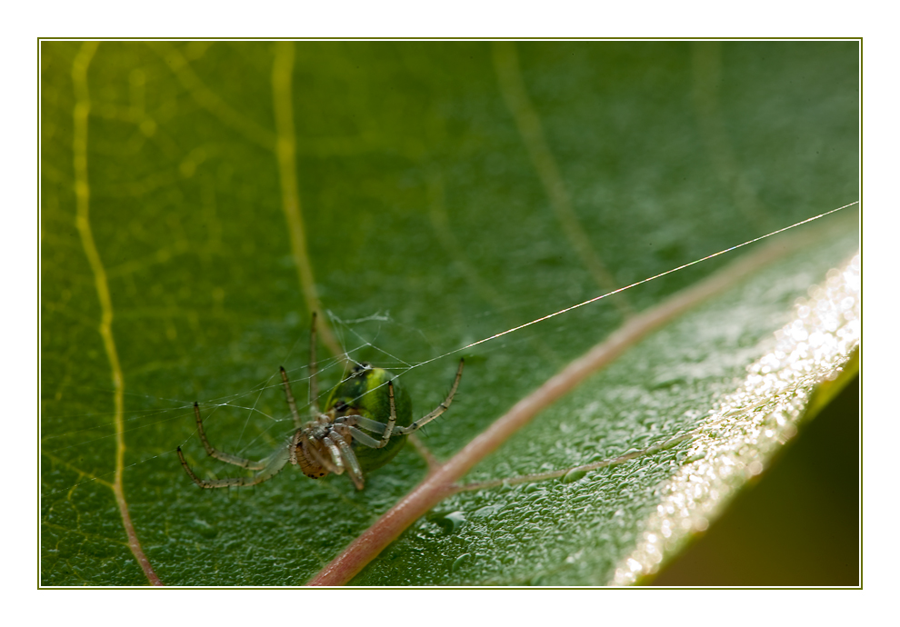 15 - klein und versteckt