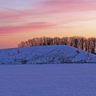 15 Minuten später ist die Sonne hinter den Bäumen über der Sachsischen Schweiz aufgegangen