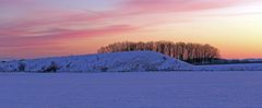 15 Minuten später ist die Sonne hinter den Bäumen über der Sachsischen Schweiz aufgegangen