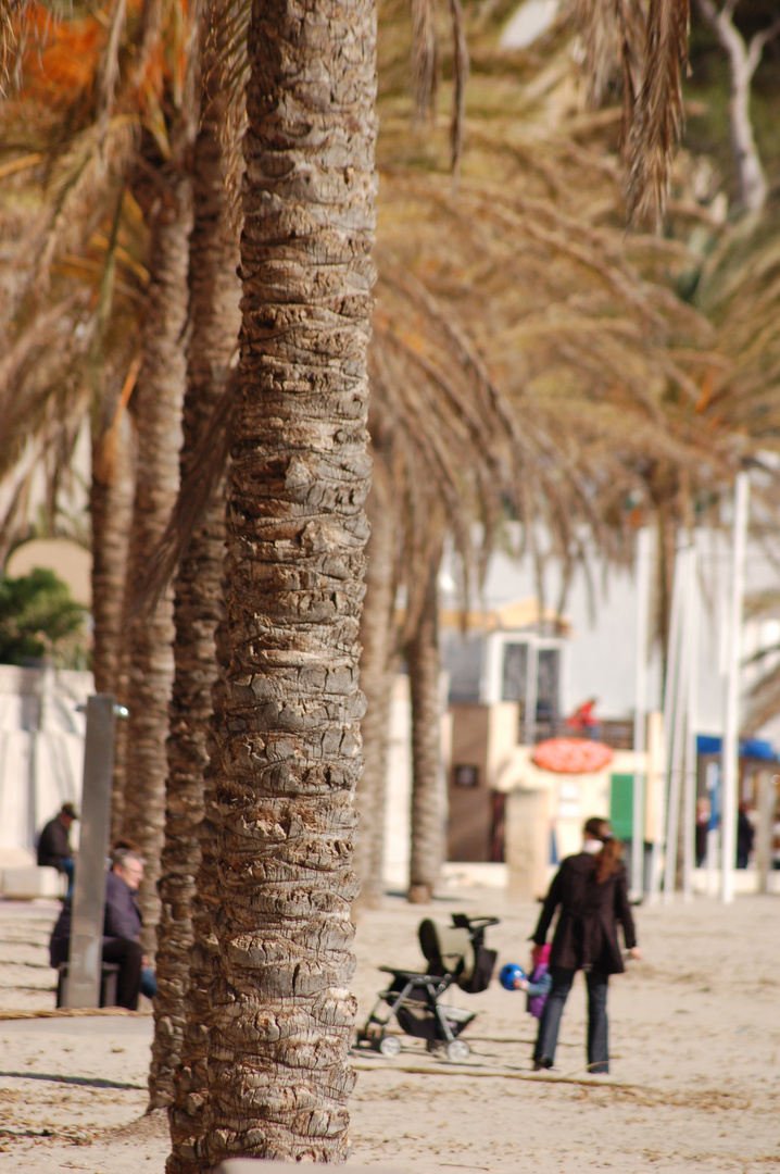 15 VIII XA, Promenade am Strand von Paguera