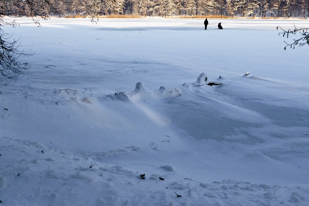 (15) Winterspaziergang ...