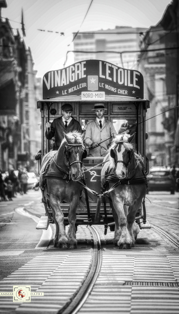 150 ans de tram bruxellois 