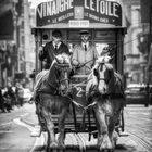 150 ans de tram bruxellois 