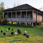 150 Jahre altes traditionelles Oda-Haus.