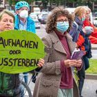 1500 Menschen beim Klimastreik von Fridays for Future in Rostock