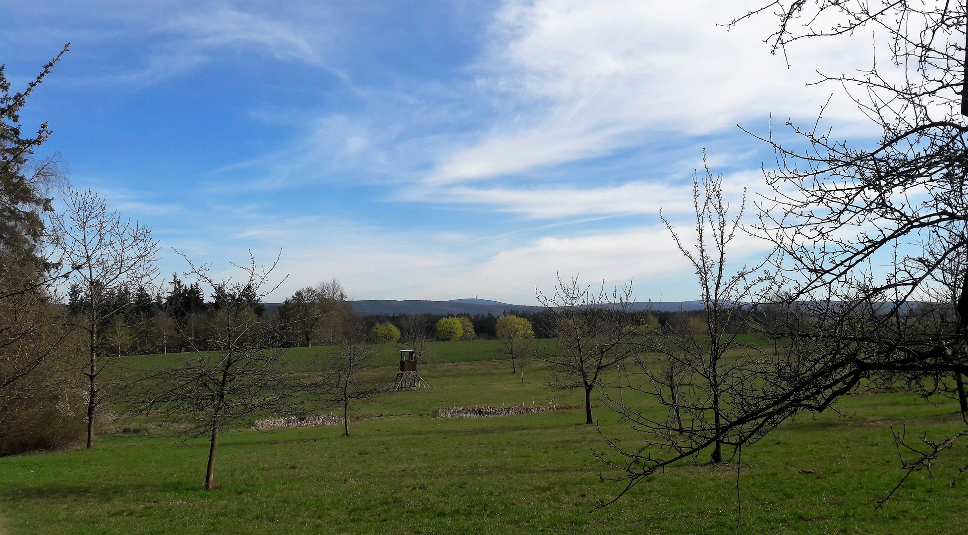 15.04.2020 Blick von der Streuobstwiese  über die Biotop-Tümpel zum Schneeberg