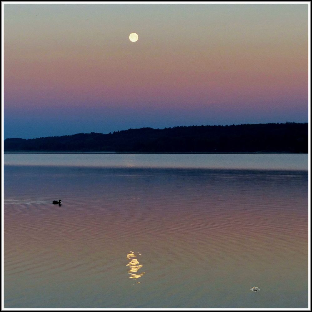 1506 Vollmond - Kurz vor Sonnenaufgang