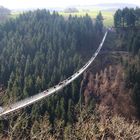 15074 die längste Hängeseilbrücke Deutschlands