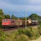 15.08.14 155 017 mit EZ 51687 bei Syrau