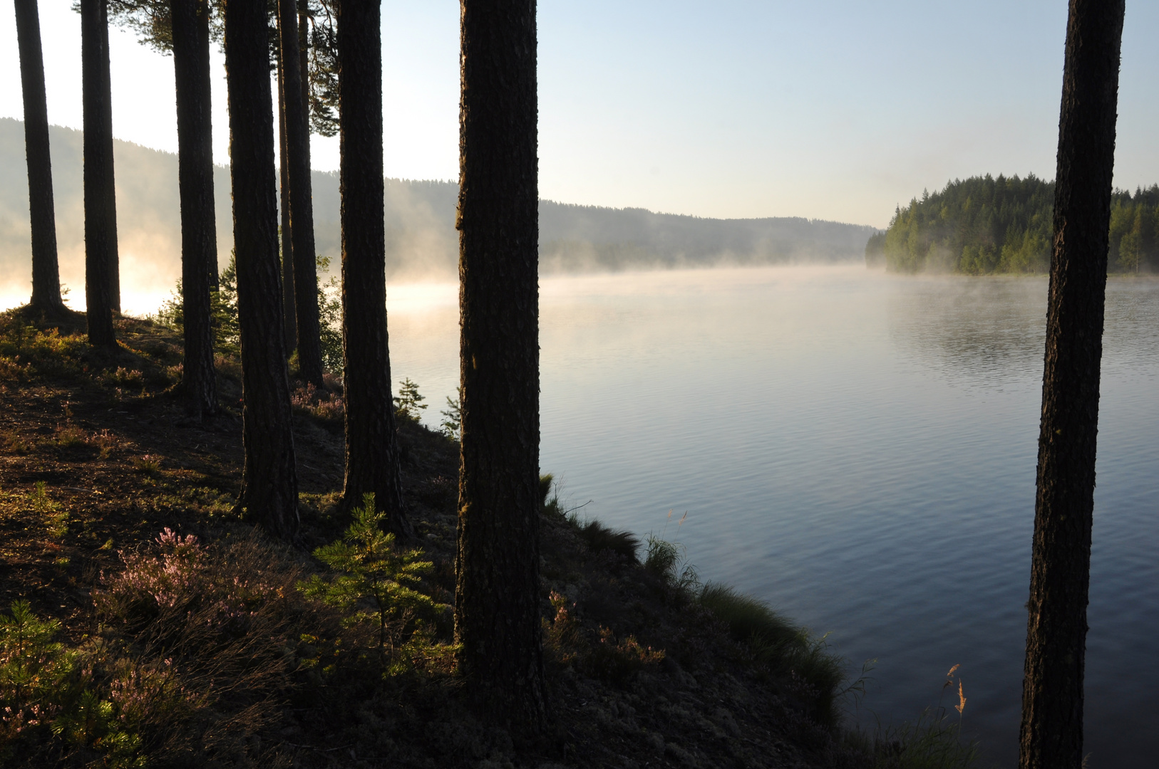 150822 Am Rottnan, Värmland Foto & Bild schweden,
