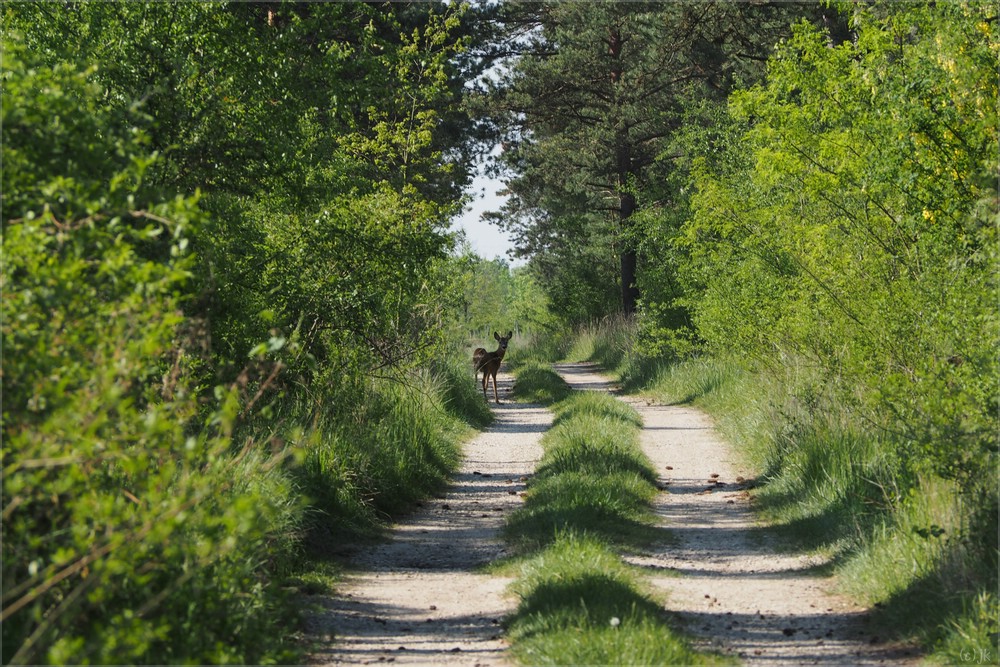 150mm-begegnung