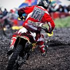 * * * #151 - Harri KULLAS * * *