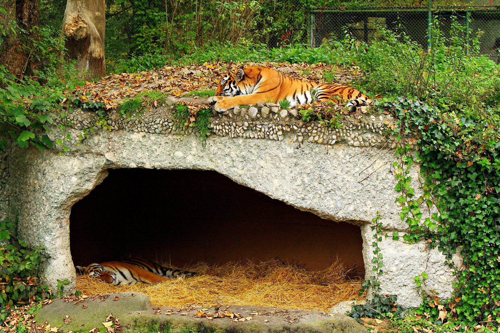 15.10.2014 Ahimsa (oben) Jegor (in der Höhle)