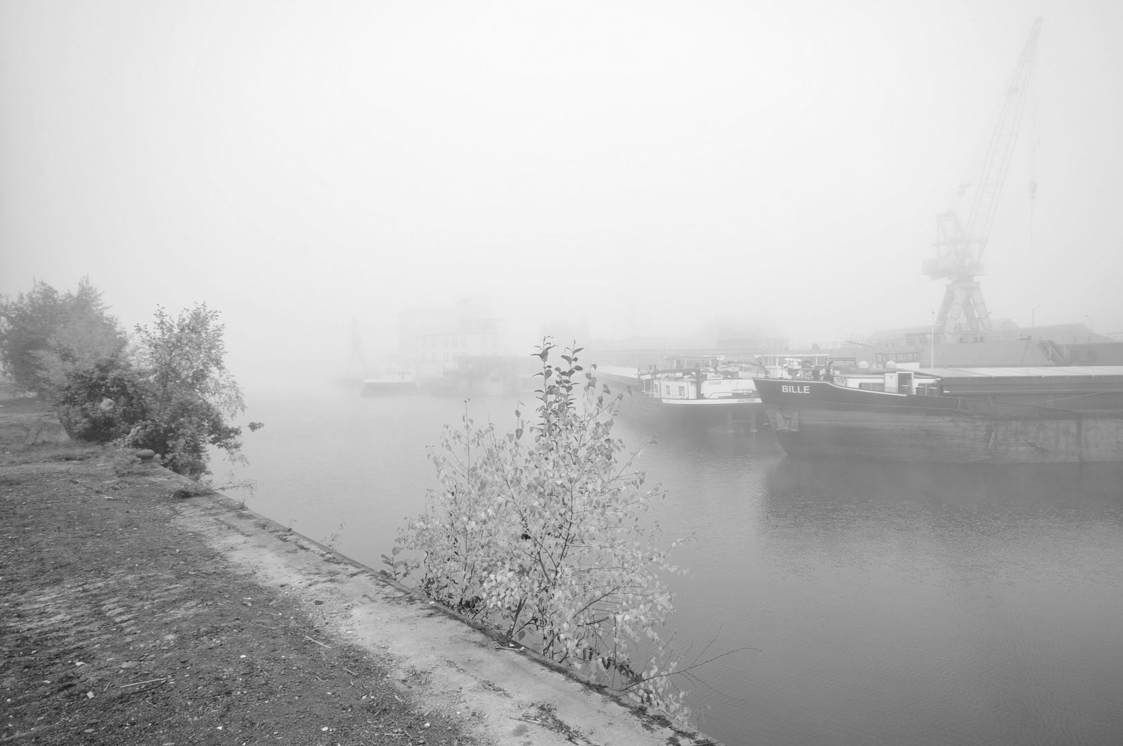 151104 - Harburger Binnenhafen im Nebel