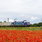 152 135