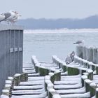 15.2. Travemünde 6