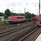 155 110 mit S-Bahn in Hamburg-Elbgaustraße