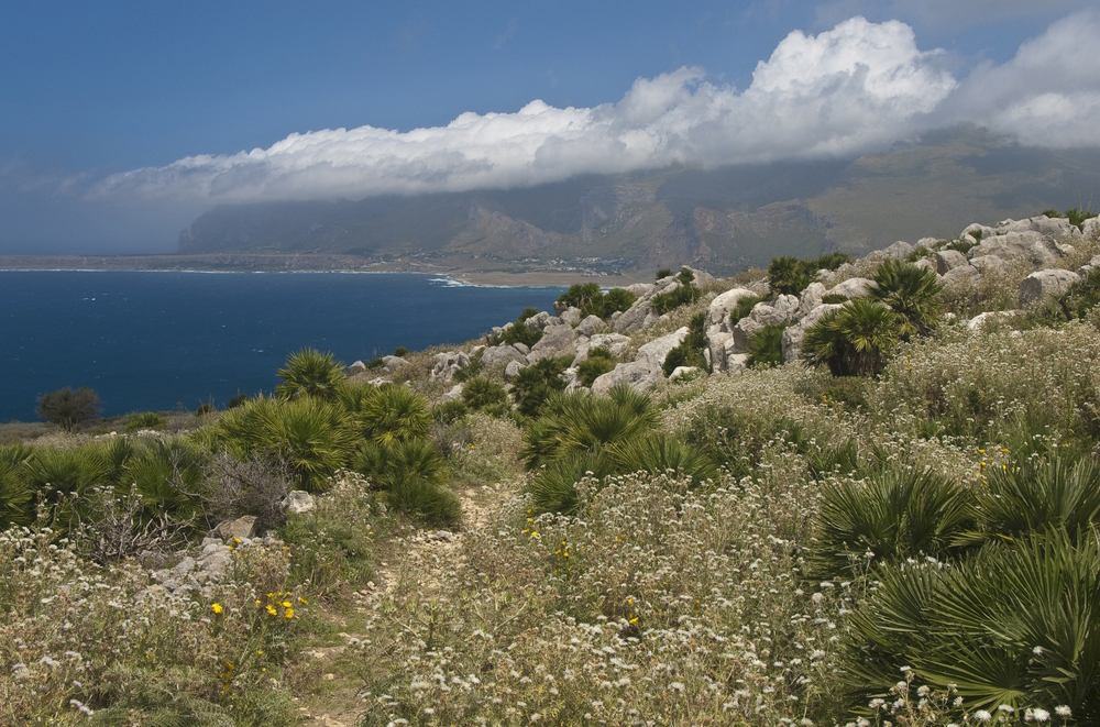 15.5. Wanderung rund um den Monte Cofano (2)