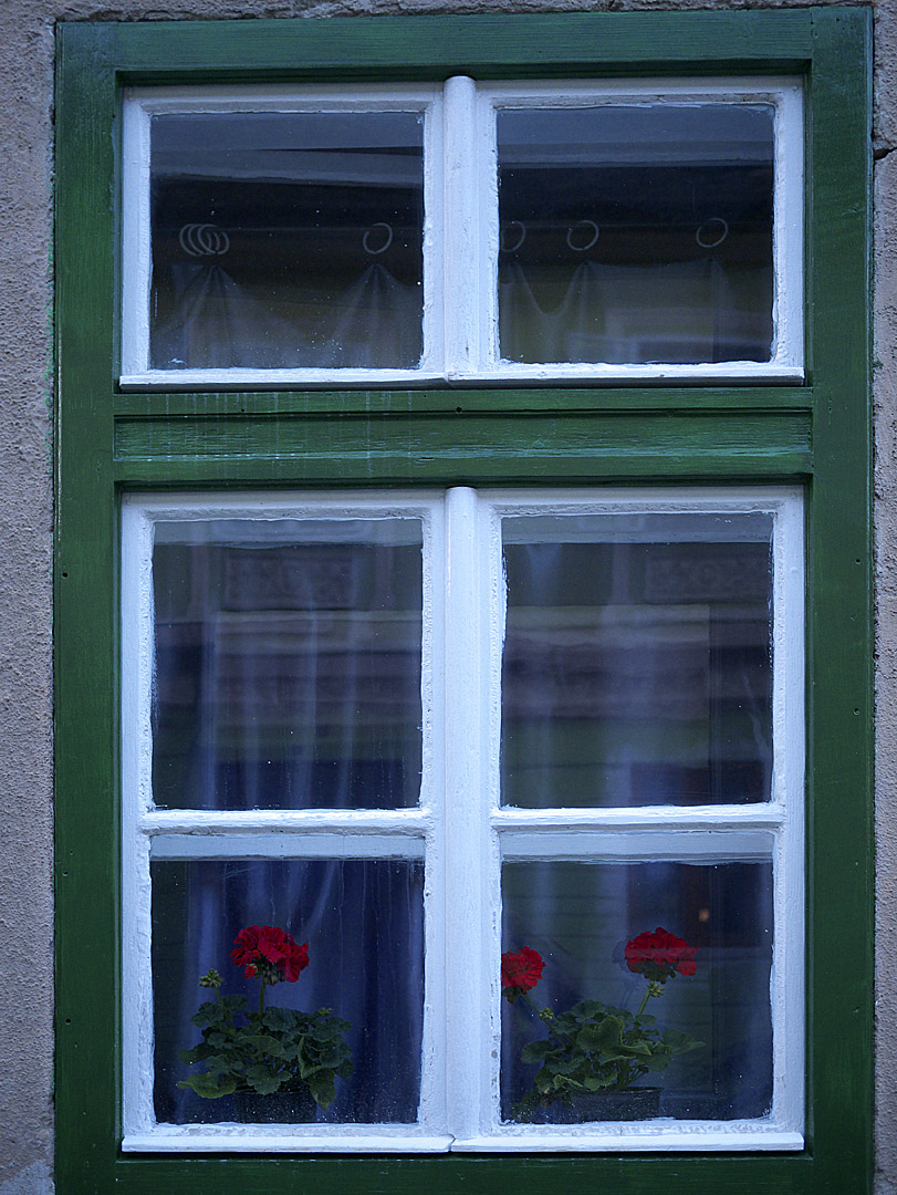 1550677_fenster