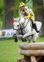 Marbach Eventing/Gelände CIC von AWpixx 