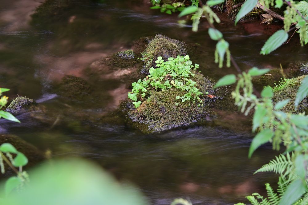 159 Islands in the stream (unbearbeitet)